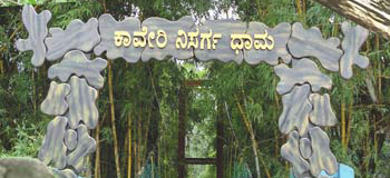 2-image